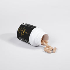 Lion's Mane Mushroom - vitanok